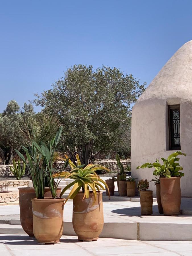 Les Jardins De Villa Maroc Essaouira Ngoại thất bức ảnh