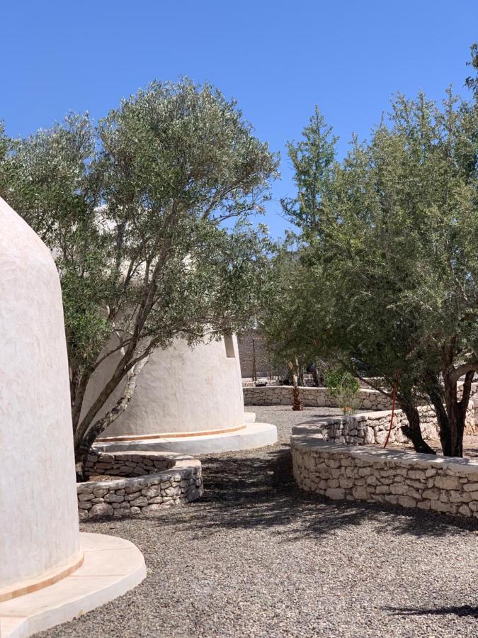 Les Jardins De Villa Maroc Essaouira Ngoại thất bức ảnh