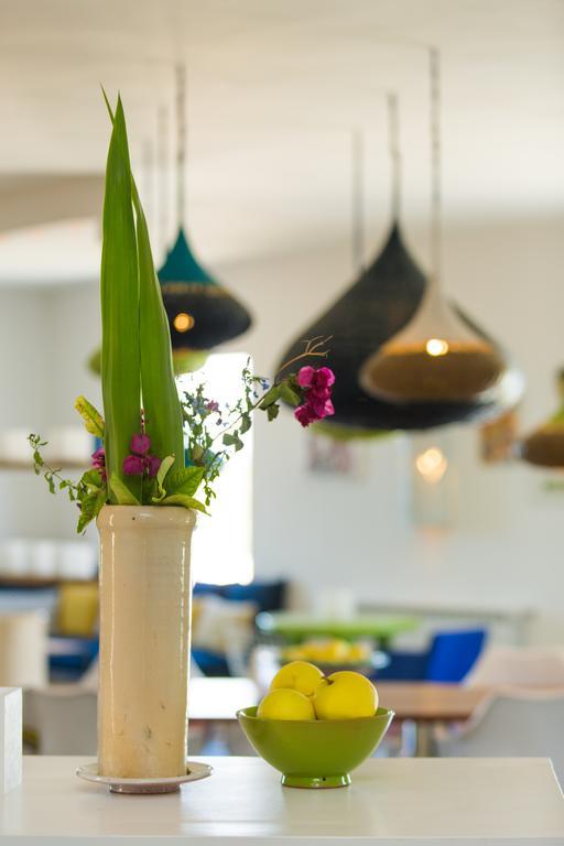 Les Jardins De Villa Maroc Essaouira Ngoại thất bức ảnh